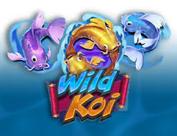 Wild Koi